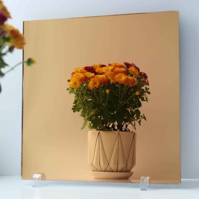 Custom Size Mirror Panels Red Back Paint Coloured Mirror Glass For Bathroom